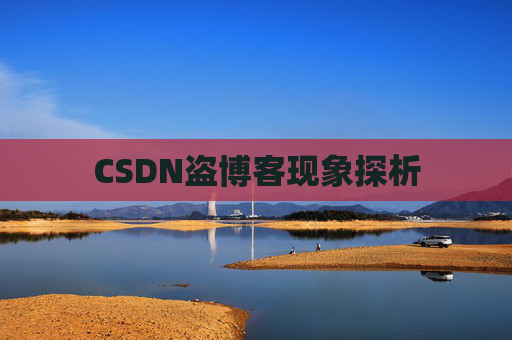 CSDN盗博客现象探析